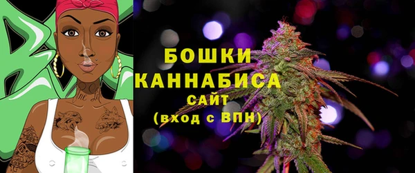 винт Верея