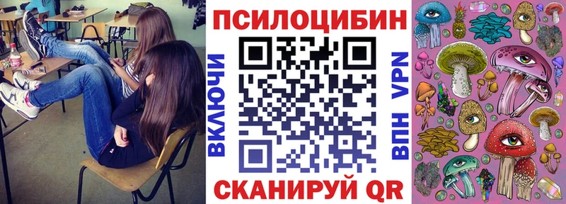 блэк спрут tor  мориарти как зайти  Моршанск  Галлюциногенные грибы GOLDEN TEACHER  продажа наркотиков 