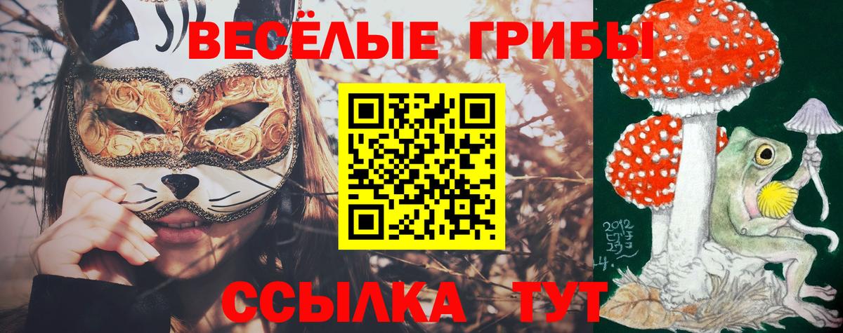 Галлюциногенные грибы мицелий  Вход с VPN  Моршанск 